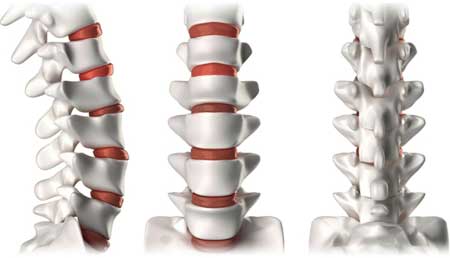 Coluna Cervical