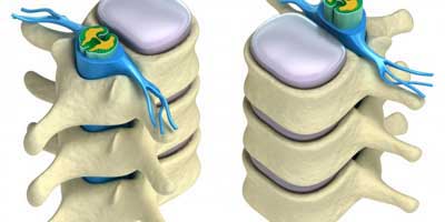 Coluna Cervical