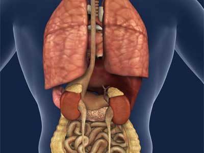 Fibrose Pulmonar