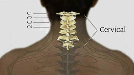 Região Cervical