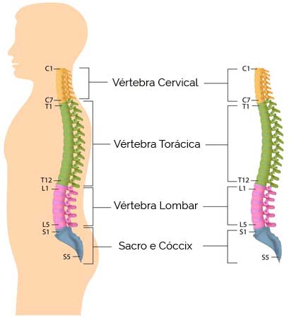 Região Cervical