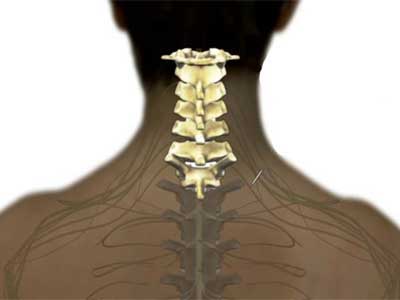 Região Cervical