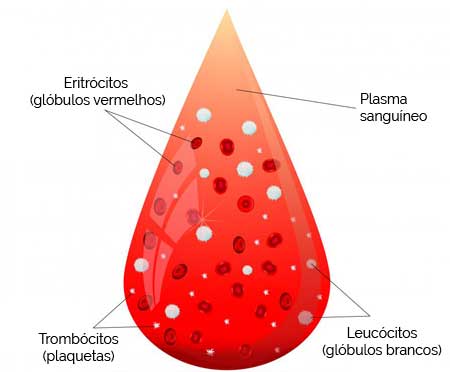 Reticulocitose