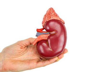 Uremia
