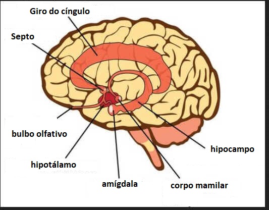 Síndrome de Kallmann