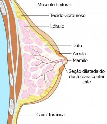 Calcificação da Mama