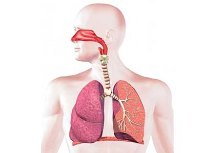 Doença Pulmonar