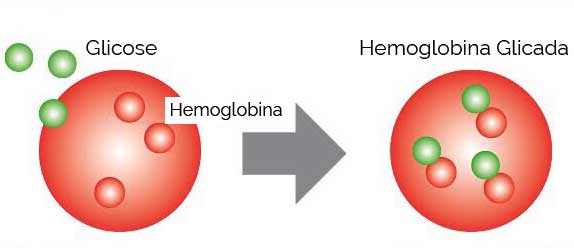 Hemoglobina Glicada