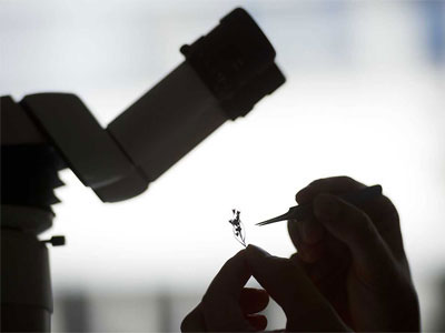 Biologia Forense