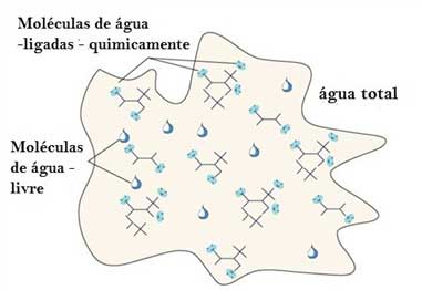 Água dos Alimentos Água dos Alimentos