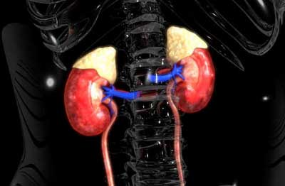 Hipermagnesemia