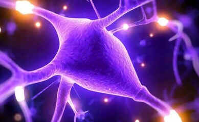 Hipermagnesemia