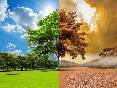 Mudança Climática