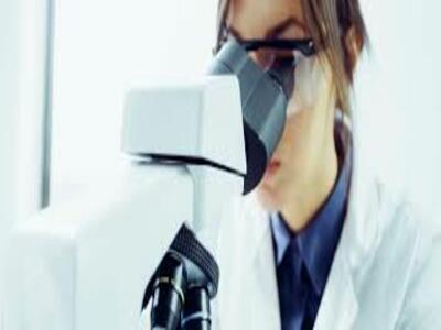 Microscopia