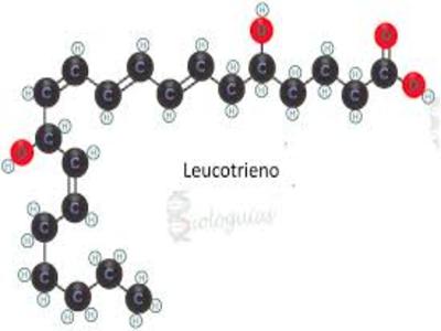 Leucotrienos