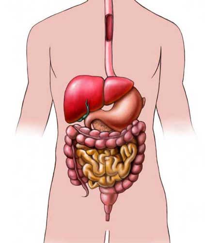 Suco gástrico