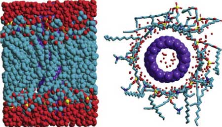 Dinâmica molecular