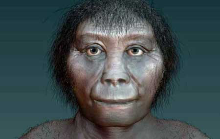 Homo Floresiensis