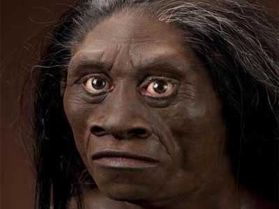 Homo Floresiensis