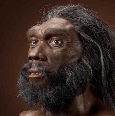 Homo Heidelbergensis