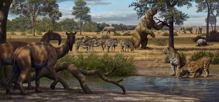 Megafauna