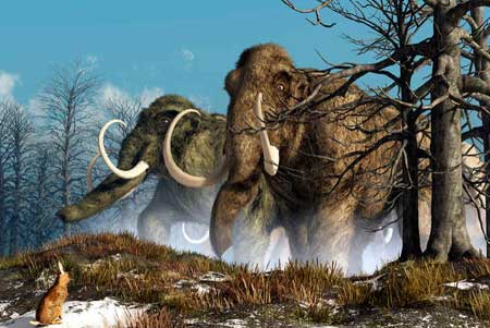Megafauna