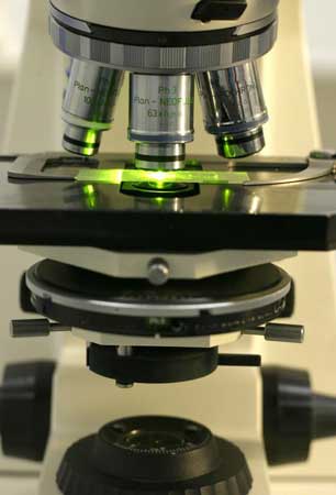 Microscópio de fluorescência