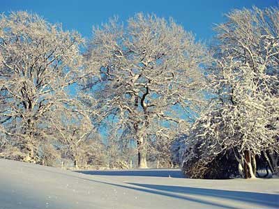 Neve