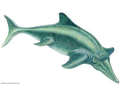 Ictiossauros