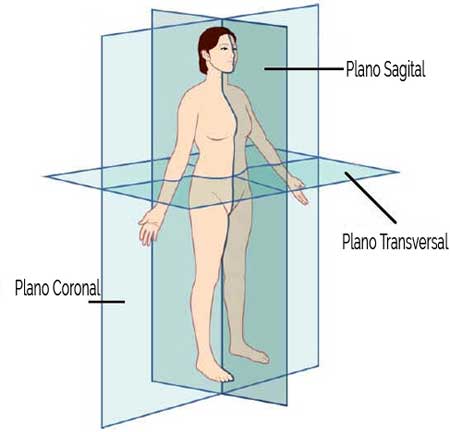 Plano transversal