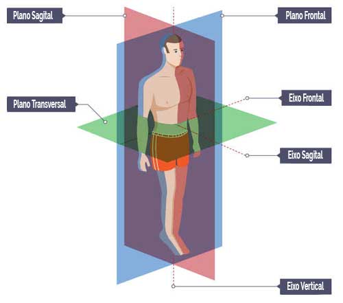 Plano transversal