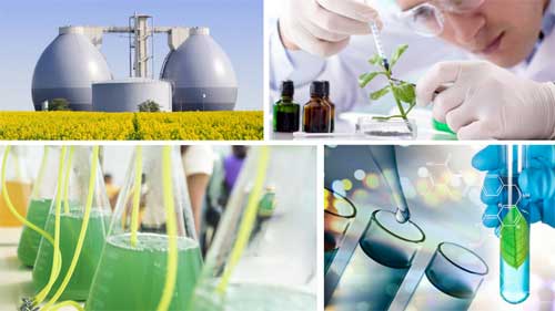 Biotecnologia Industrial
