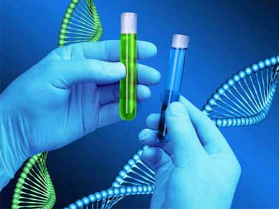 Testes de DNA