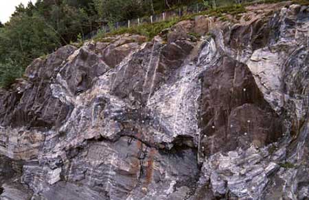 Petrologia