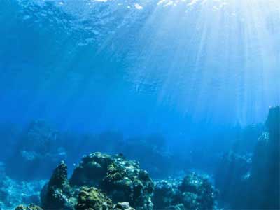 Ecologia Marinha