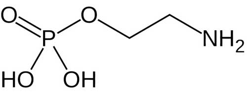 Fosfatidiletanolamina