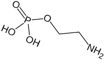 Fosfatidiletanolamina