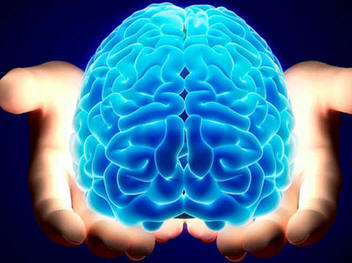 Habilidades cognitivas