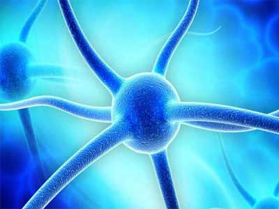 Interneurônio
