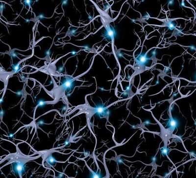 Interneurônio