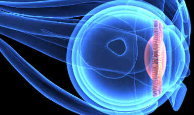 Corpo ciliar