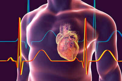 Aorta descendente