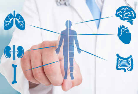 Endocrinologia