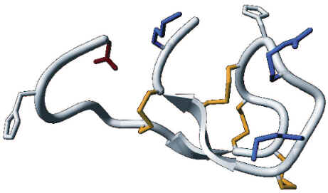 Hepcidina